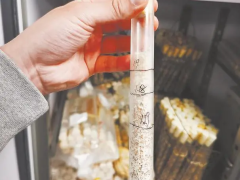 走进国家食用菌种质资源库（福建）——探秘食用菌的“种子”
