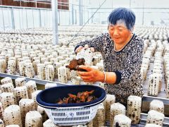 河南柘城:发展特色产业 助力乡村振兴