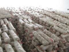 菌袋生产工艺“六到位”