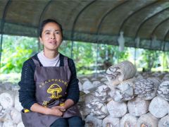 云南龙陵：种下食用菌 撑开“致富伞”