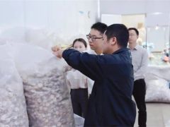 护航30多万菇农菇商的勤劳致富梦