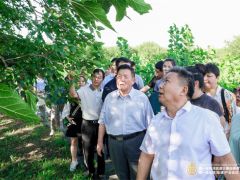 胜利闭幕！赋能桑黄、金耳大产业