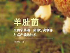 书籍推荐：羊肚菌生物学基础、菌种分离制作与高产栽培技术