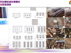 课程推荐|羊肚菌栽培生物学与工厂化栽培难点