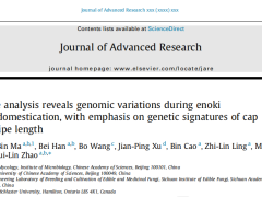 中国科学院微生物所赵瑞琳团队泛基因揭示金针菇驯化过程中基因组进化并识别菌盖颜色和菌柄长度变异基因