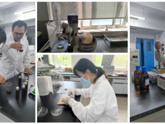湖北省农业科学院“菌菇多糖介导肠道菌群功能机制研究及产业化应用”科技成果通过第三方评价