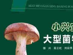 《小兴安岭大型菌物图鉴》——揭秘菌物王国的奇幻之旅