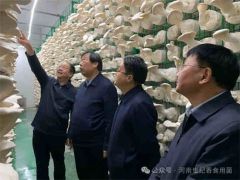 河南省委农办副主任,省农业农村厅党组成员、副厅长王俊忠一行莅临许昌世纪香食用菌产业园调研指导