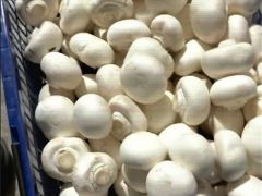 “水洗菇”视频引关注，行业专家迅速行动辟谣