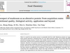 “食用菌做为替代蛋白的优势和前景”综述文章在食品科学TOP期刊发表