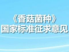 上海市农业科学院就《香菇菌种》国家标准公开征求意见,3月16日前反馈