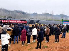远安县羊肚菌种植管理技术现场会召开