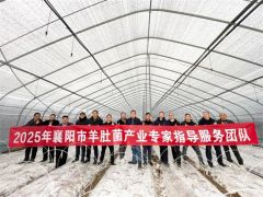 3万亩！后起之秀湖北襄阳羊肚菌产业生长为何如此野蛮？！