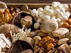 高档香菇如何种成?七河生物智慧“菇”事告诉你