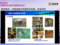 课程推荐|中国绒盖牛肝菌亚科的属、种多样性