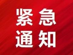 寒潮将至！羊肚菌种植紧急应对指南
