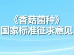 《香菇菌种》国标修订意见征集,《香菇菌种》详解三