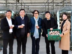 随州“申香1513”核心示范基地展示会 ——暨国家食用菌产业技术体系新品种发布会成功举行
