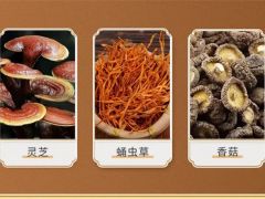 菌物应用案例|灵芝蛹虫草等菌物对慢阻肺免疫干预的应用效果研究