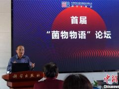 《中国的毒蘑菇》在北京首发 记载509种毒蘑菇助力识别与预防
