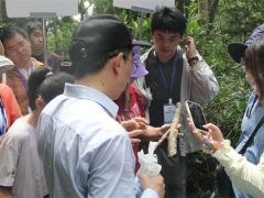 看了《中国的毒蘑菇》，跃跃欲试？来这里！编者现场教你识别蘑菇