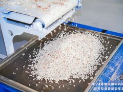 靖州开展“一户一产业工人”茯苓产业培训