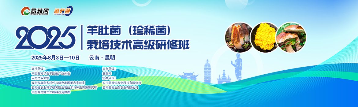 2025羊肚菌(珍稀菌)栽培技术高级研修班
