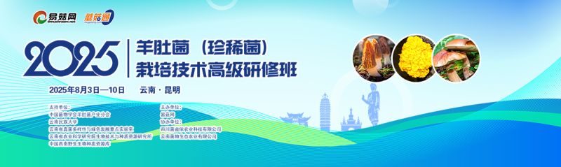 2025羊肚菌（珍稀菌）栽培技术高级研修班