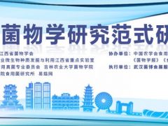 AI时代菌物学研究范