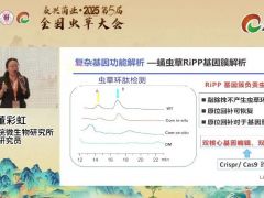 课程推荐|蛹虫草基因编辑及应用