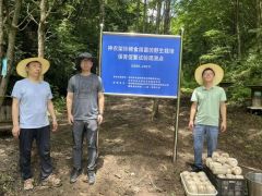 神农架林区启动珍稀菌仿野生栽培试点项目