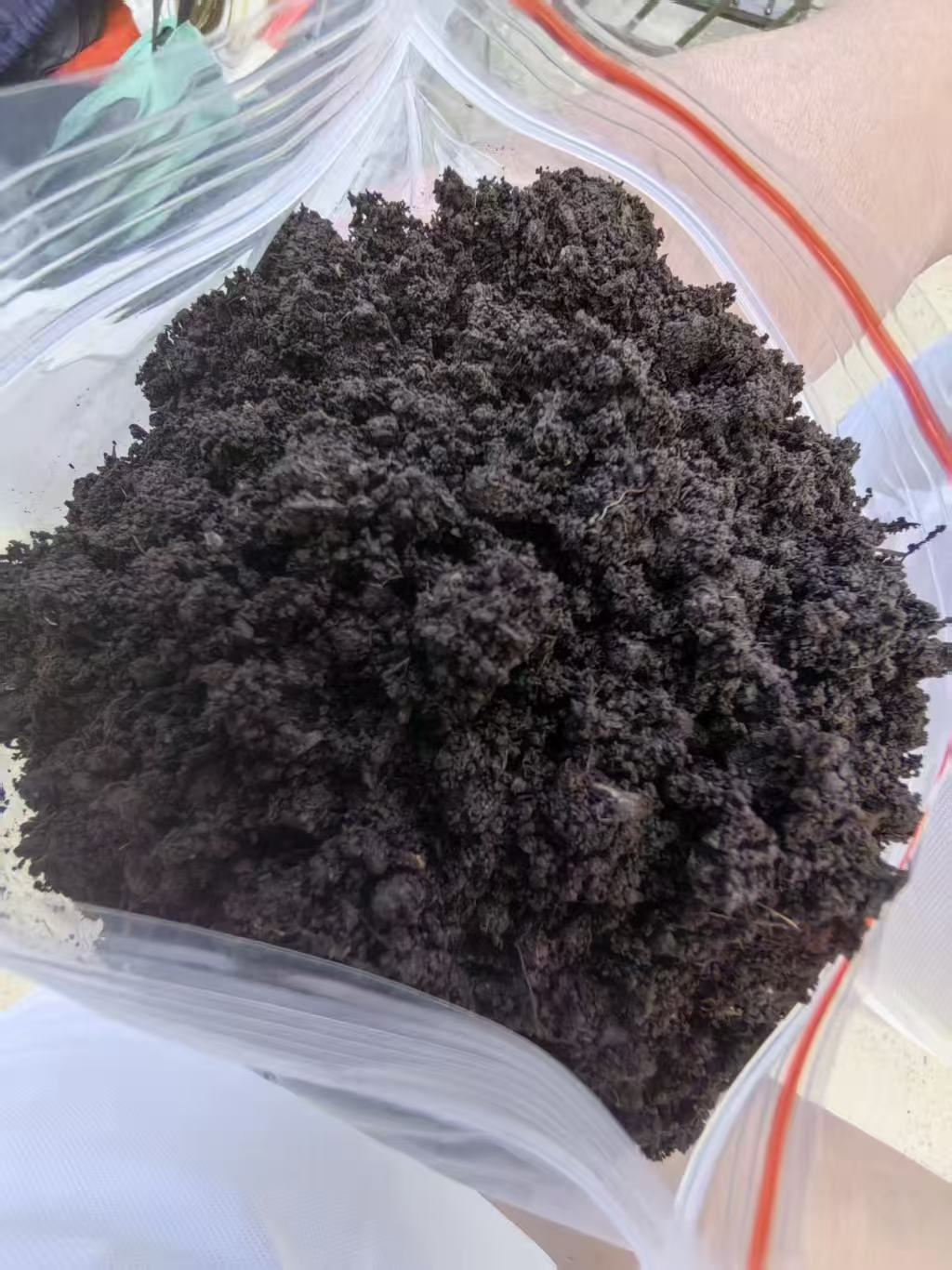 俄罗斯远东草炭土
