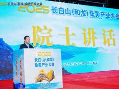“和龙桑黄是桑黄产业的一面旗帜。”李玉院士在2025长白山（和龙）桑黄产业大会上的致辞