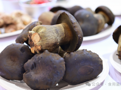 科技赋能驻村工作，助力乡村产业振兴——何祖华院士一行赴崇明堡镇指导“稻菇轮作”