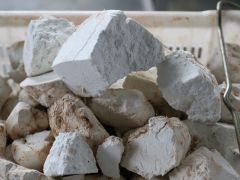 茯苓加工厂落地生根 招商引资成就“好钱景”