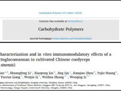 IF=12.5！冬虫夏草新型多糖：抗氧化与免疫调节作用研究