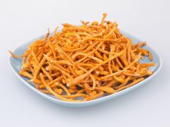 辽宁沈阳：“小菌菇”催生食品产业新动能
