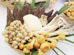 冬季平菇栽培技术要点
