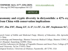 李玉院士团队连发Mycosphere:中国网柄细胞状黏菌分类及多样性研究实现跨越式突破