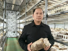 蒙山县夏宜瑶族乡发现珍稀新菌种 科研赋能开辟特色产业新路径