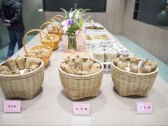 湖北省宜昌市夷陵区下堡坪乡天麻种植户朱国平: “土疙瘩”里刨出好日子