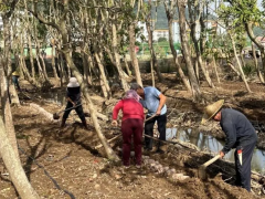 珠海红旗：15亩食用菌试验基地落成，已投入种植