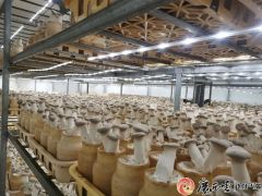 广西智慧“菇”在越南落地开花