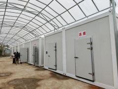 “靠天吃饭”局面 泸县食用菌智能方舱产业基地试运行