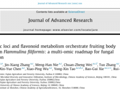 中国科学院微生物研究所赵瑞琳团队与福建农林大学谢宝贵团队合作揭示真菌色素形成的多组学路线图：双基因位点和黄酮类化合物代谢调控金针菇子实体黄颜色形成