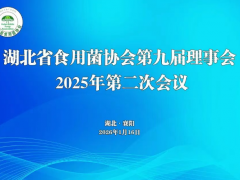 【会议通知】湖北省食用菌协会第九届理事会2025年第二次会议