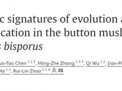 真菌室赵瑞琳团队解析全球双孢蘑菇进化与驯化的关键基因组特征
