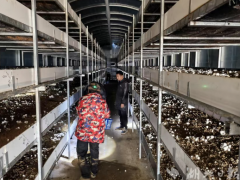 新洲这个村有效带动村民稳岗增收