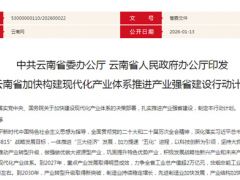 云南省印发《行动计划》 大力发展林菌产业