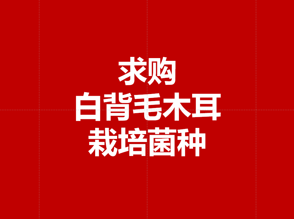 求购白背毛木耳栽培菌种